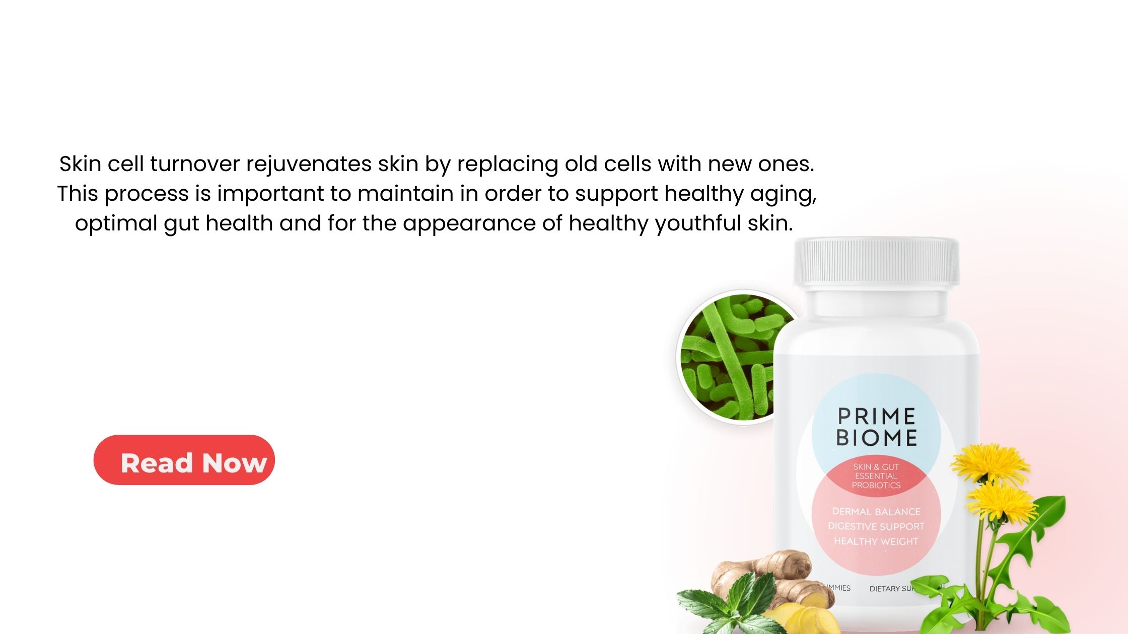 Boost Gut Health with PrimeBiome Supplements Today!